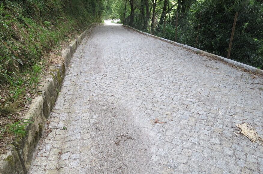 Pavimentação de parte da Rua Nª Srª do Rosário - Barreiro