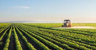 Subsídios à agricultura - Pedido Único de Ajudas - PU 2024